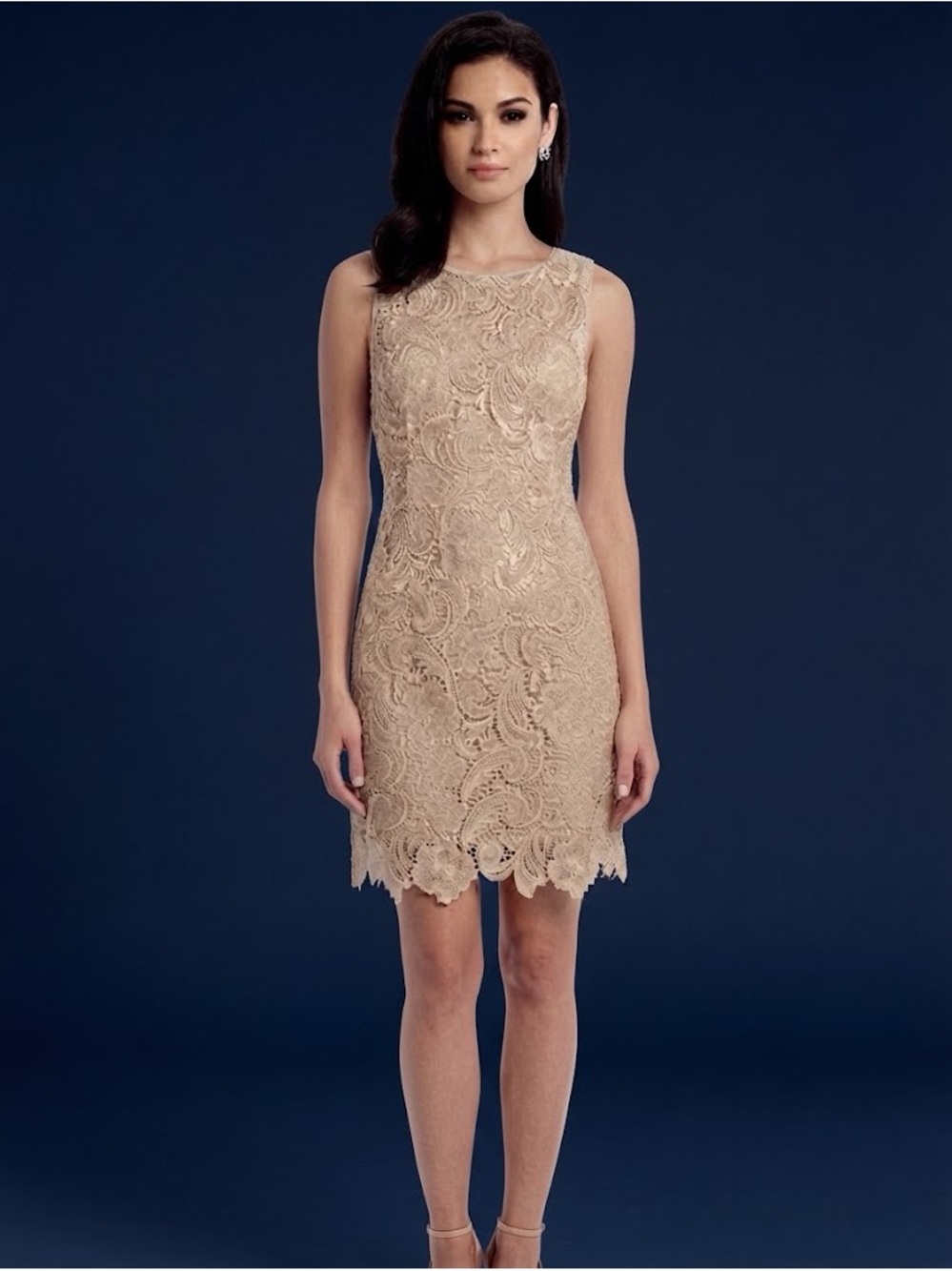 Cache Sleeveless Lace Midi Dress in Cream